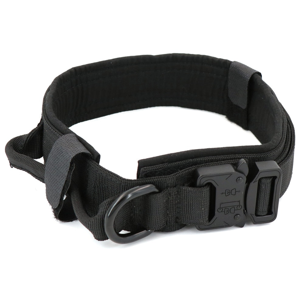 Dog Collar Zendrop