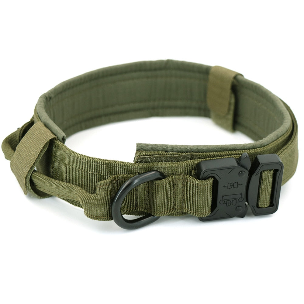 Dog Collar Zendrop