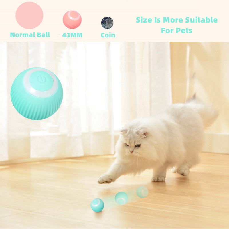 Smart Cat Ball Toys Zendrop