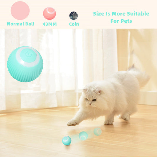 Smart Cat Ball Toys Zendrop