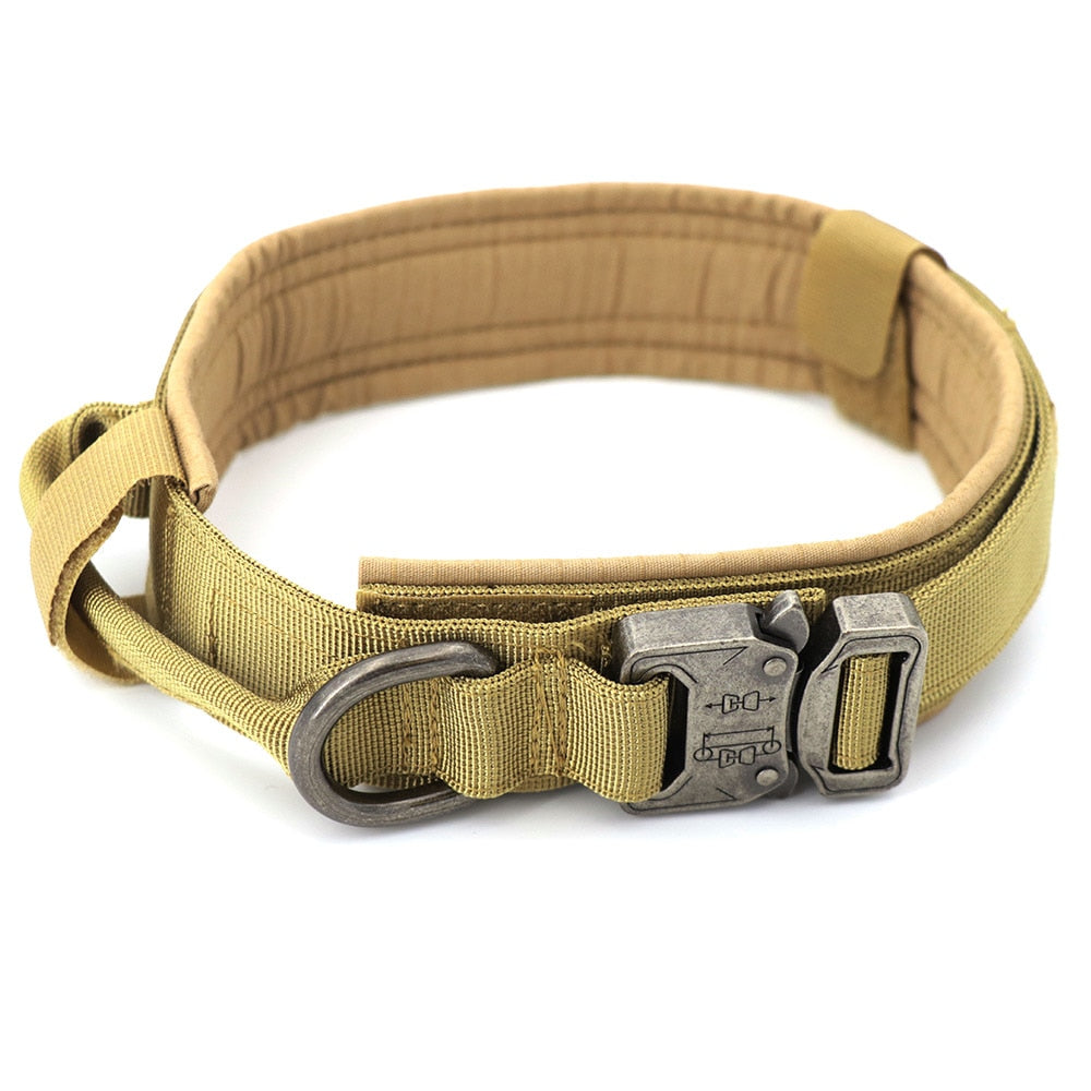 Dog Collar Zendrop