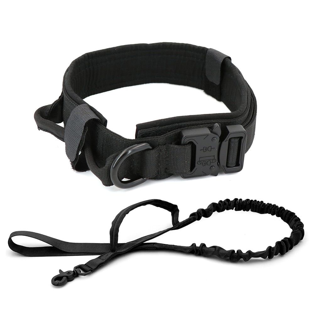 Dog Collar Zendrop