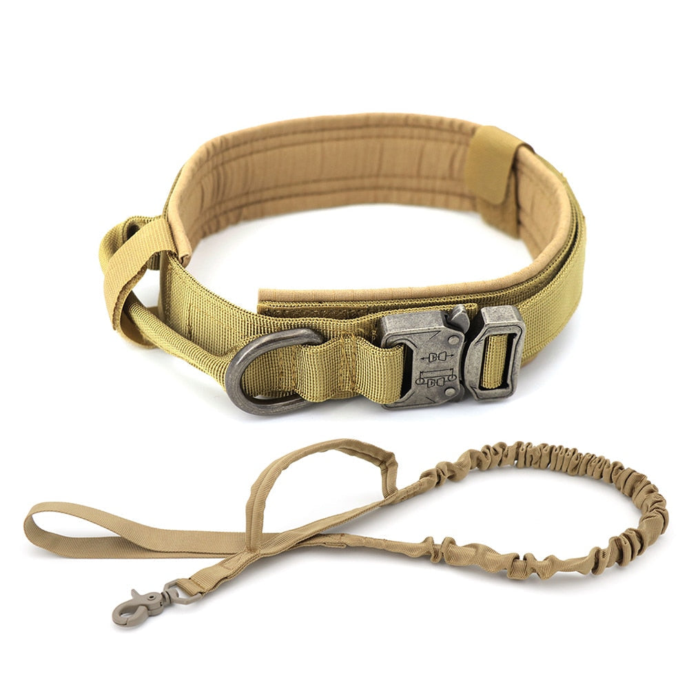 Dog Collar Zendrop