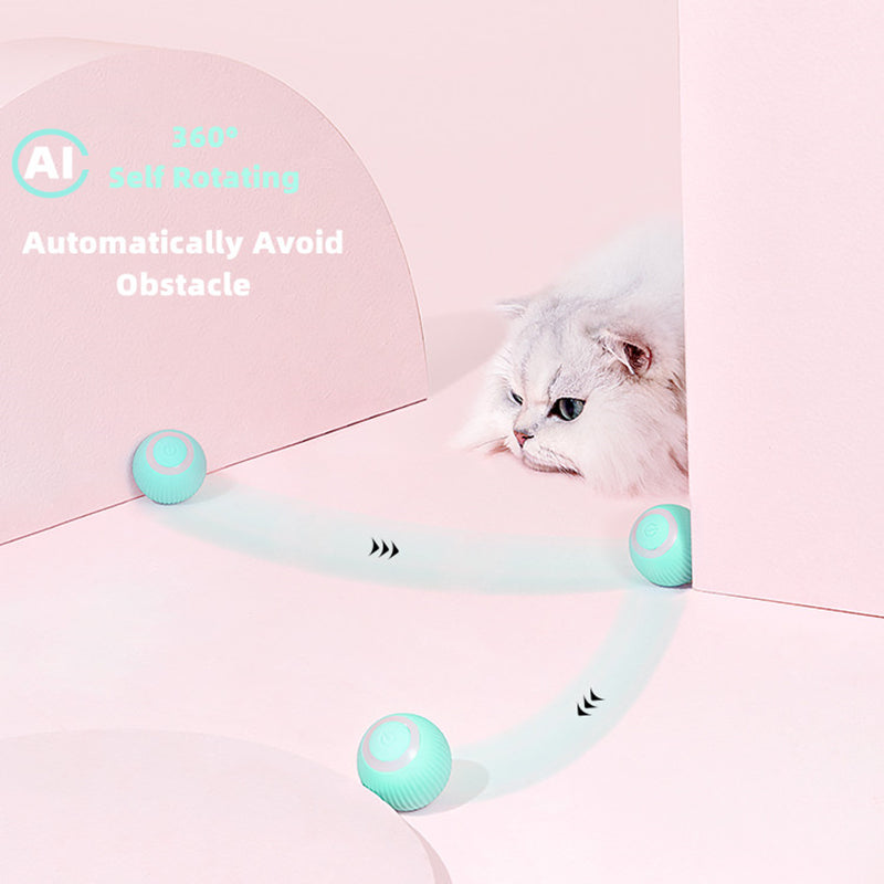 Smart Cat Ball Toys Zendrop