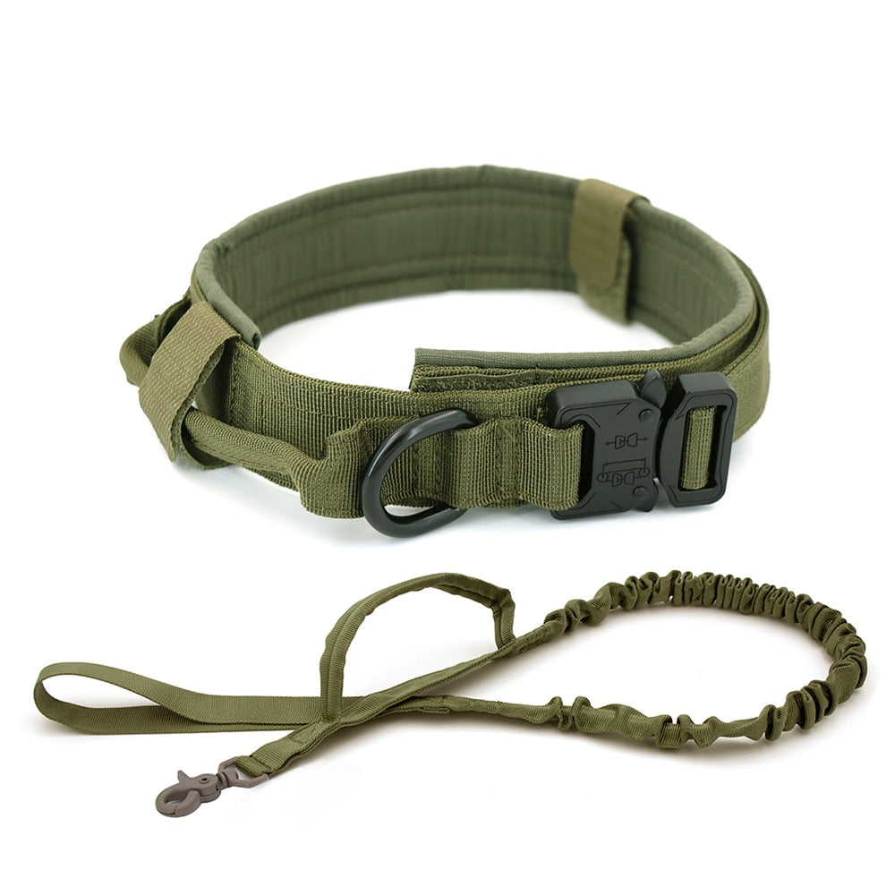 Dog Collar Zendrop