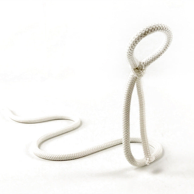 Suspended Rope Wine Bottle Zendrop