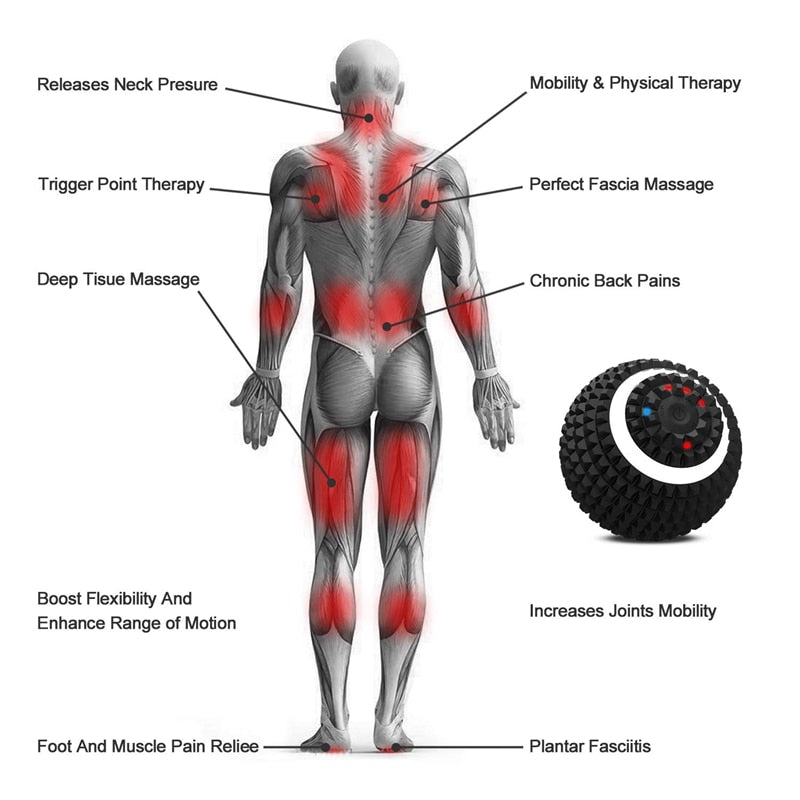 Electric 4-Speed Vibrating Massage Ball Zendrop